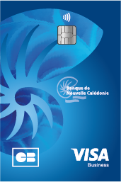 Visa Business