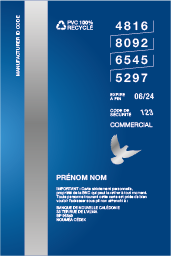 Visa Business verso