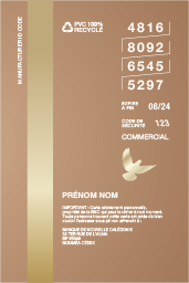 Visa Business Gold verso