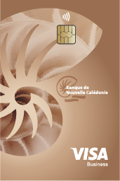Visa Business Gold