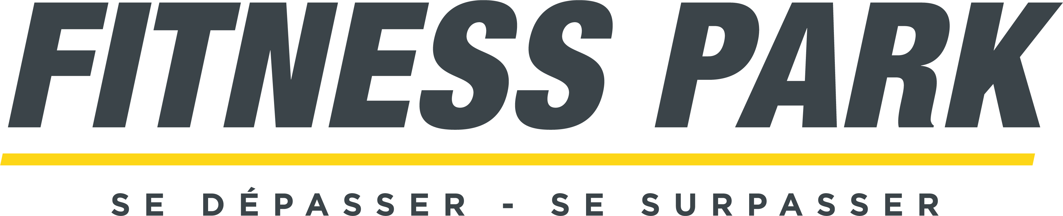 LOGO_FITNESS_PARK_GREY_2019.png