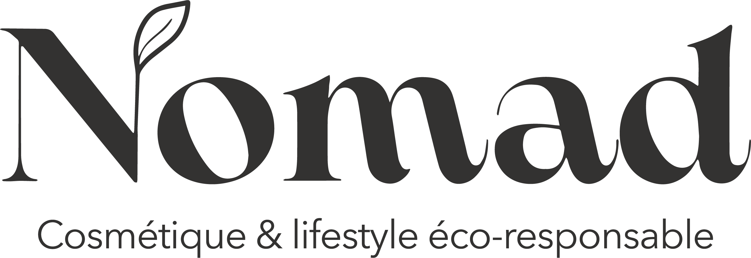LOGO_NOMAD_gris_sans_fond.png