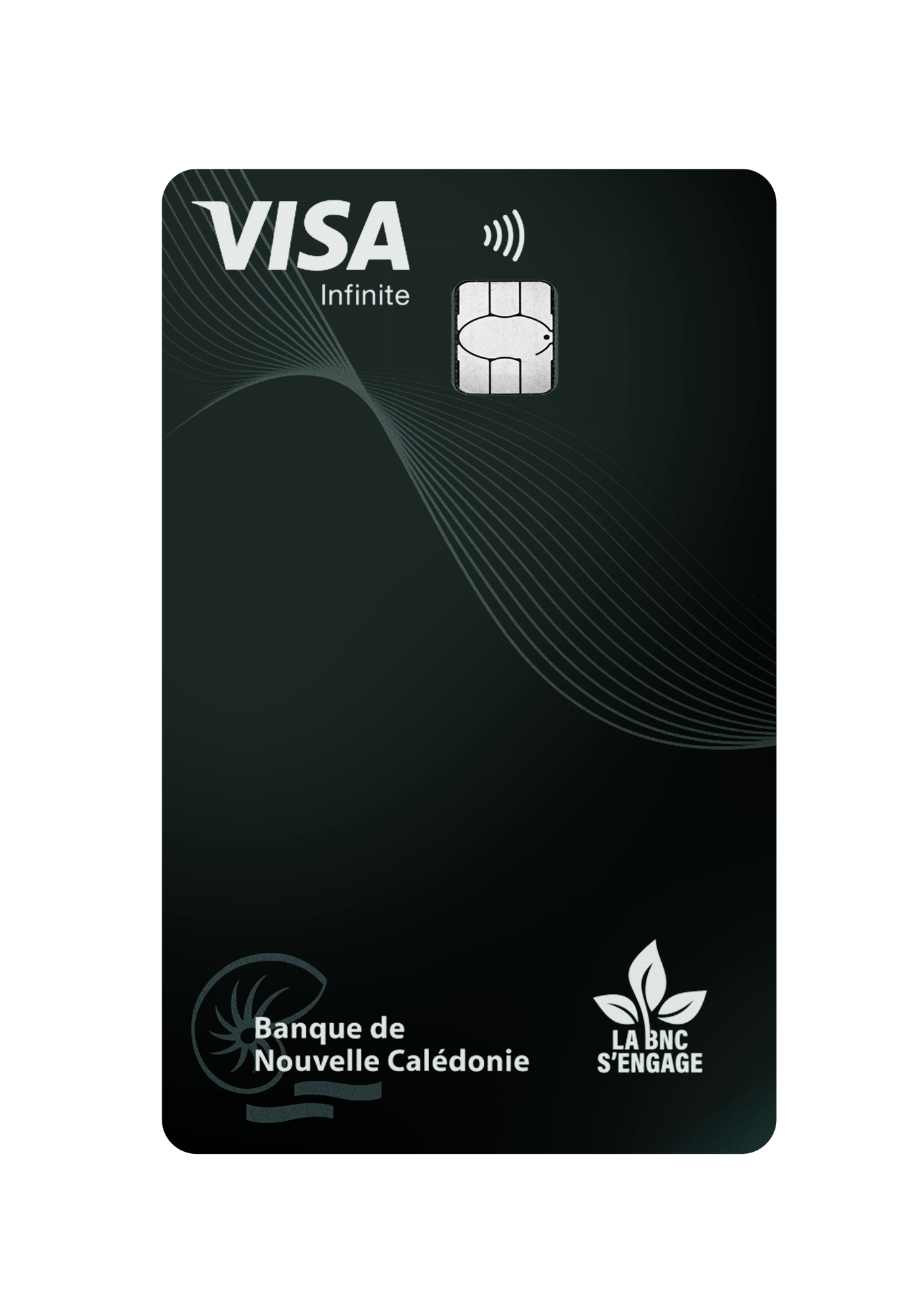 Visa-Infinite.png